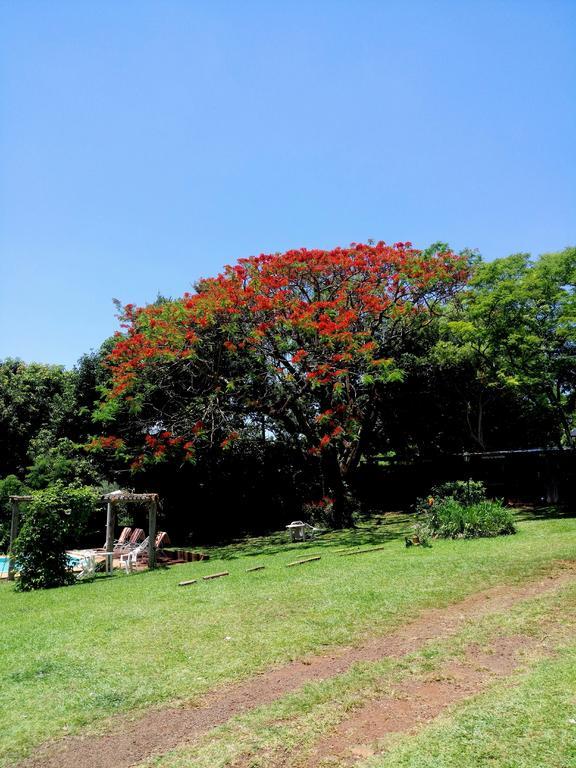 Hostel Y Posada Colibri Puerto Iguazú Exterior foto